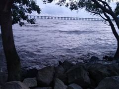 -宝安西湾红树林湿地公园