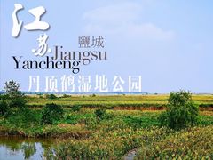 -盐城丹顶鹤湿地生态旅游区