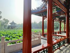 -莲池书院博物馆