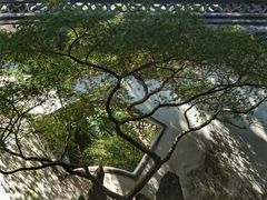 -太平天国侍王府