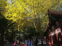 -中国人民解放军总医院(301医院)