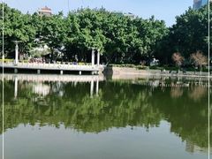 -竹湖园公园