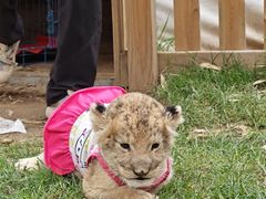 -鄂尔多斯野生动物园