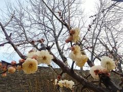 -北京明城墙遗址公园