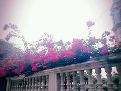 -马拉桑果汁(龙头路总店)