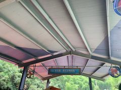-将军关探险漂流