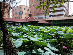 android_upload_pic-荷香居(洞企石路店)