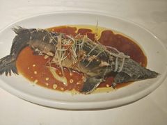 -同喜烤鸭店(光芒店)