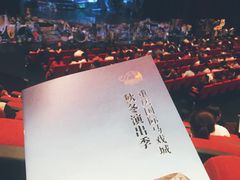 -重庆国际马戏城