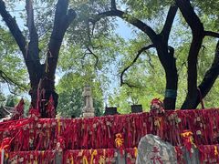 -大槐树寻根祭祖园
