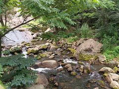 -秦岭终南山世界地质公园翠华山景区