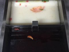 -焱三乐四川火锅店(经纬街店)