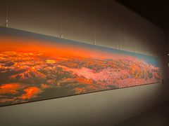 -罗红摄影艺术馆