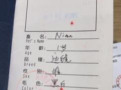 -申普宠物医院·心脏介入·心血管微创(总院)