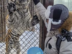-横道河子东北虎林园