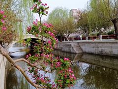 -海棠花溪(元大都城垣遗址公园)