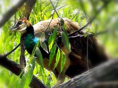 -金庭庄园酒店-停车场