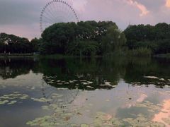 -蠡湖大桥公园