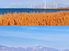 -观澜小洱海