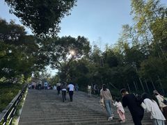 -上海佘山国家森林公园西佘山园