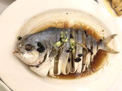 豆豉姜丝蒸鲳鱼-稻香酒家·33年老字号·港式粤菜(富邦中心店)