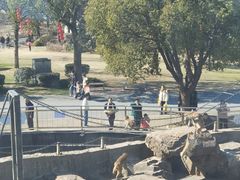 -无锡动物园·太湖欢乐园