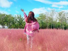 -天津东丽湖风景区