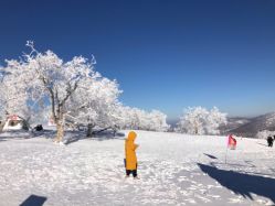 -大秃顶子山