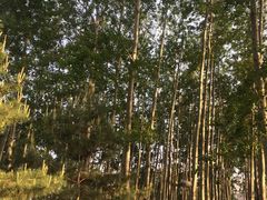 -仁和公园(顺义区)