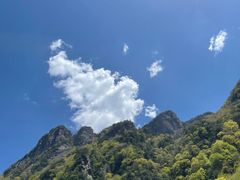 -青峰峡国家森林公园