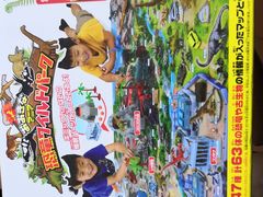 -TOYSRUS玩具反斗城(武汉荟聚中心店)