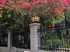 -南宁市凤岭儿童公园