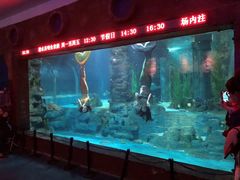 -无锡海洋馆