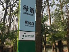 -合肥滨湖国家森林公园