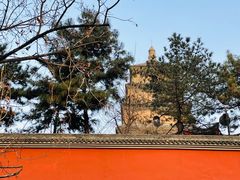 -大慈恩寺(大雁塔)
