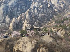 -北京凤凰岭