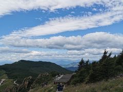 -白草畔自然风景区