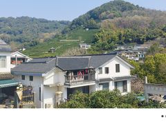 -龙井村
