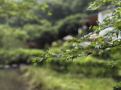 -杭州上天竺法喜讲寺