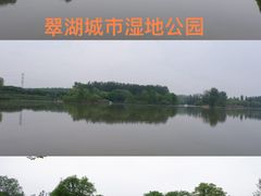 -翠湖国家城市湿地公园