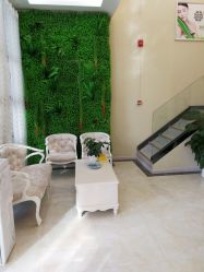 -苗医生草本科技祛痘