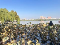 -济南大明湖景区