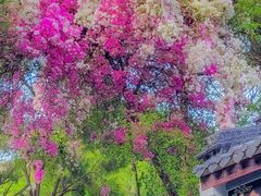 -深圳国际园林花卉博览园