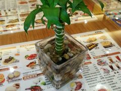 -香港新曜记茶餐厅(星耀城店)