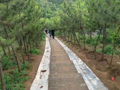 -渭南桃花源民俗文化园