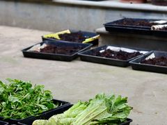 -丝绸小镇荻港古村
