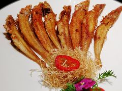 香煎沙尖鱼-滋粥楼·顺德菜(番禺广场总店)