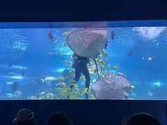 -重庆欢乐海底世界