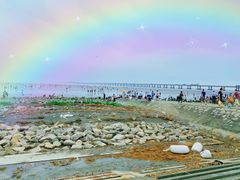 -南汇嘴观海公园
