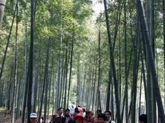 -乌石村